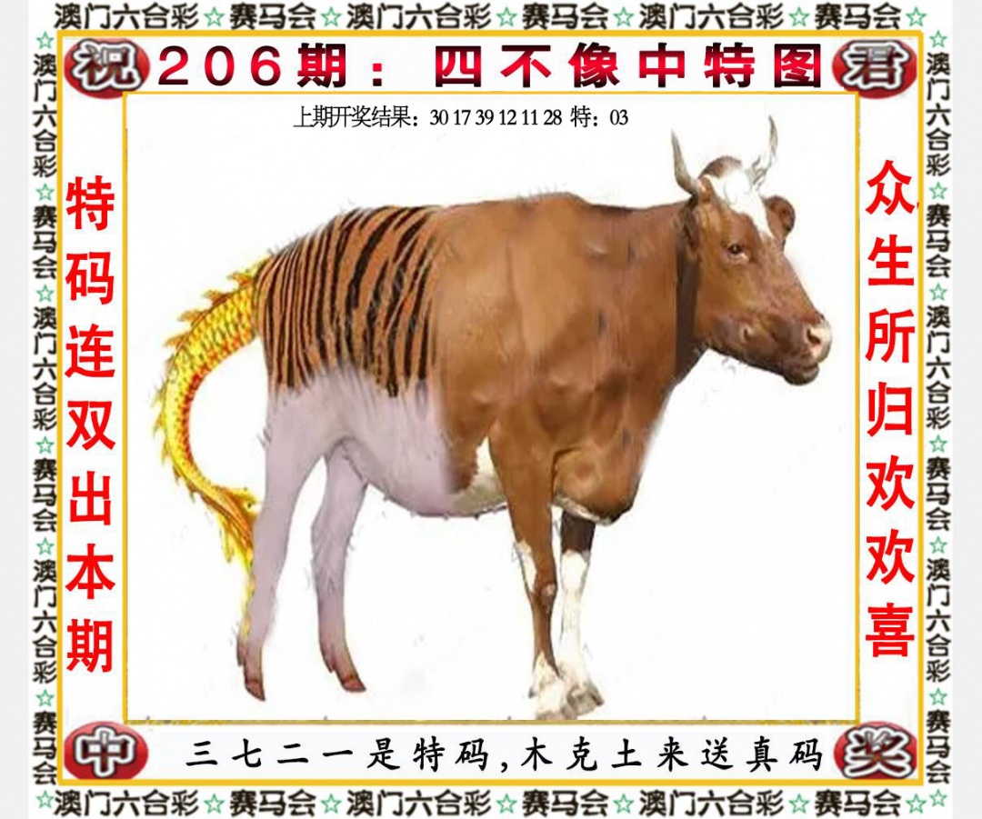 点击图片放大